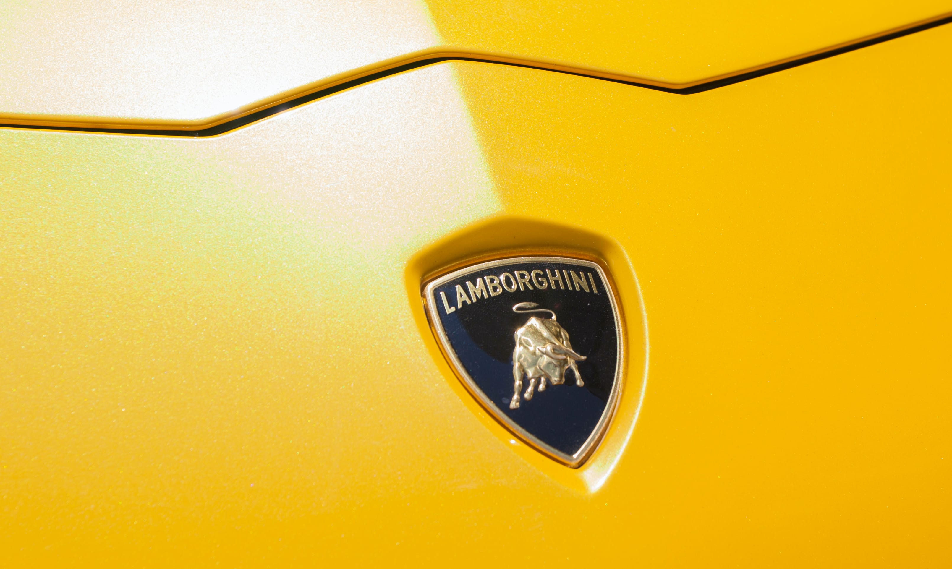 Новый значок ламборгини. Lamborghini эмблема. Ламборгини лого фон. Ламборгини Урус. Знак Ламборгини на белом фоне.
